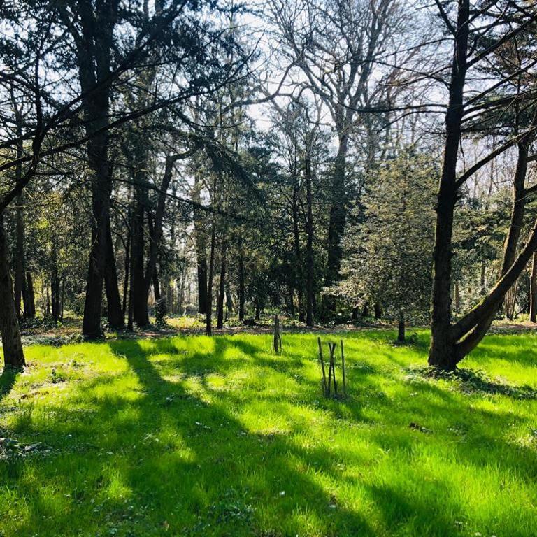Chambre Duo Sainte-Gemme-la-Plaine Exteriör bild